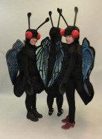 Fruit Flies